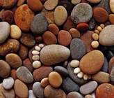 정원 귀여운 보도 뒤뜰을 위한 바위 발자국 작은 조약돌