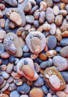 정원 귀여운 보도 뒤뜰을 위한 바위 발자국 작은 조약돌